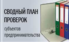 Единый план проверок на 2021 год. Сводный план проверок. Реестр плановых проверок на 2021 год. Сводный план проверок Росприроднадзор 2021.